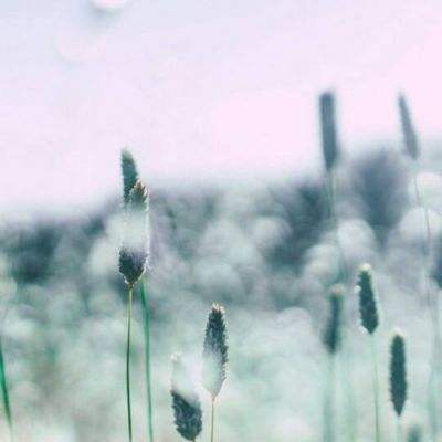 吾爱游戏宝盒破解版下载