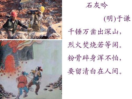 暴龙世界百度版下载
